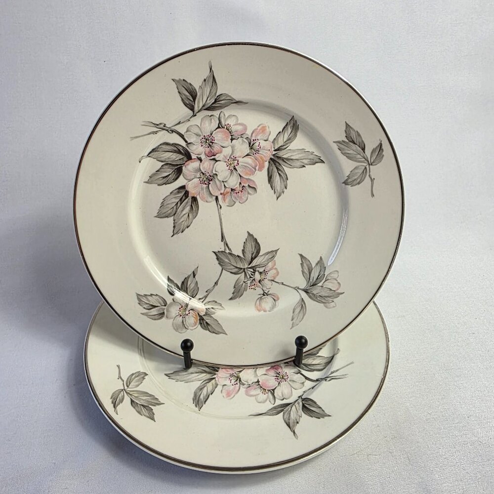 TWO Manor House Spring Glory Salad Plates Pink & White Floral Gray Leaves